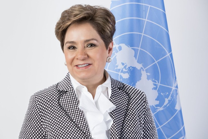 Funcionaria de la ONU llama a unir esfuerzos para enfrentar la crisis climática - ảnh 1