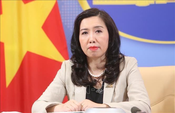 Vietnam sigue de cerca situación compleja en zonas marítimas de países de Asean - ảnh 1