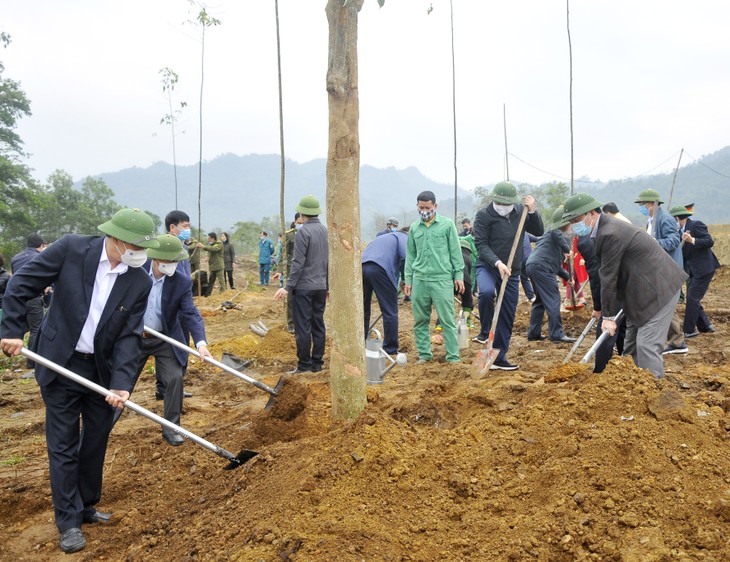 Localidades vietnamitas lanzan el Festival de la Siembra de Árboles - ảnh 1