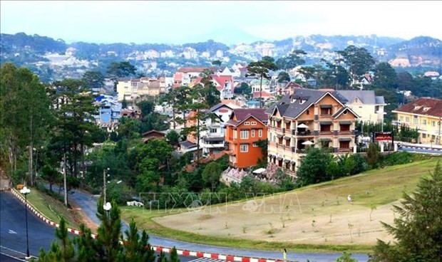 Da Lat aspira a integrar Red de Ciudades Creativas de la UNESCO - ảnh 1