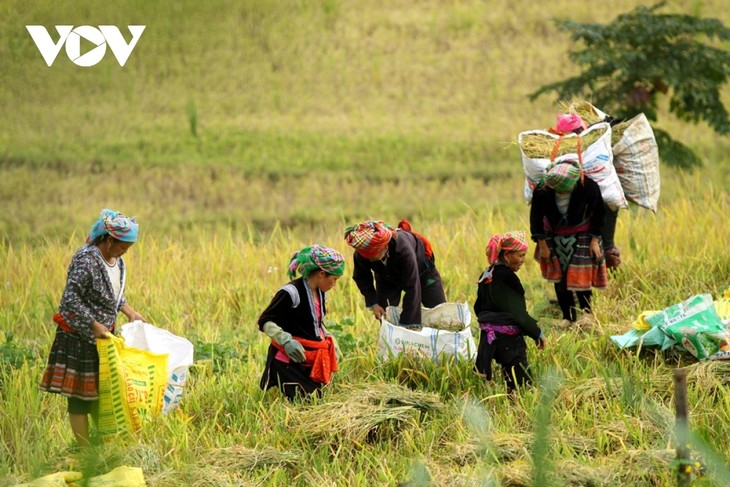 Vietnam prioriza el crecimiento económico sin dejar a nadie atrás - ảnh 1