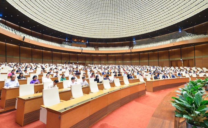 Diputados vietnamitas abogan por garantizar el bienestar de la población - ảnh 1