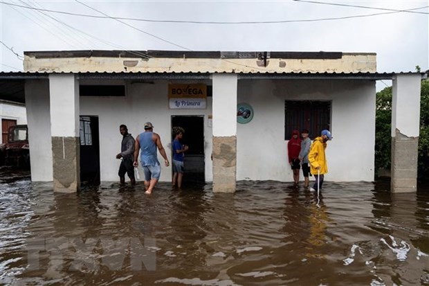 Cuba recibe donación de organizaciones solidarias de Estados Unidos - ảnh 1