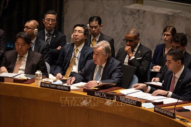 Secretario general de la ONU destaca papel de la diplomacia en la resolución del conflicto en Ucrania - ảnh 1