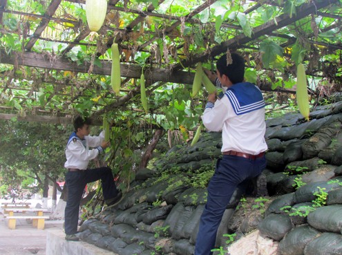  Atienden al Tet 2012 para el distrito isleño de Truong Sa - ảnh 1