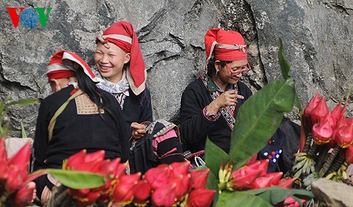 Primavera en la zona montañosa de Tay Bac - ảnh 10