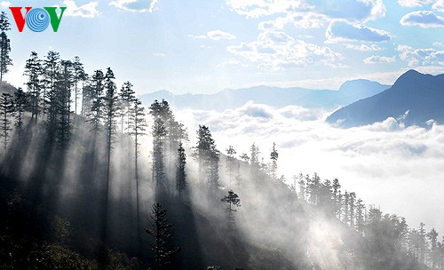 Primavera en la zona montañosa de Tay Bac - ảnh 8