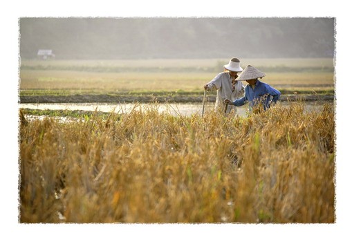 Vietnam inspira a un fotógrafo español  - ảnh 1