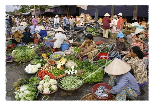 Vietnam inspira a un fotógrafo español  - ảnh 2