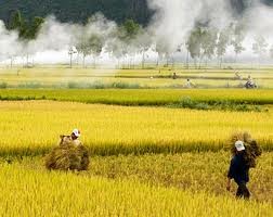 Un venezolano que ama la cultura vietnamita - ảnh 3