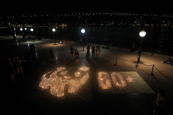 Hora del Planeta 2012 en Vietnam y en el mundo - ảnh 2