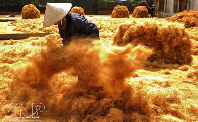 Festival del Coco 2012: oportunidad para elevar su valor económico - ảnh 2