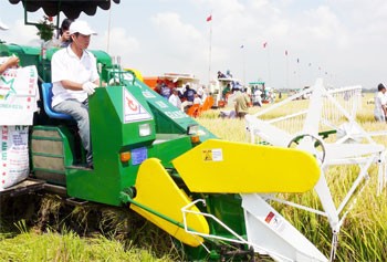 Enseñanza de oficios para los trabajadores en el campo vietnamita  - ảnh 1