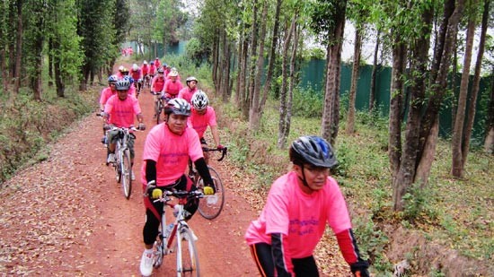 Comunidad vietnamita en Laos conmemora aniversario de natalicio de Ho Chi Minh - ảnh 1