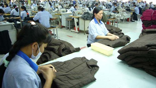 Vietnam exime y disminuye impuesto empresarial- eficaz solución temporal  - ảnh 2