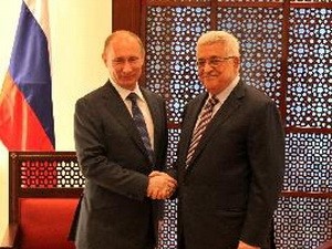 Presidente ruso aboga por reanudar negociaciones de paz Israel-Palestina - ảnh 1