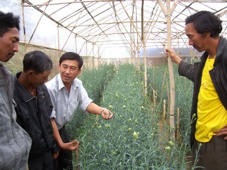 Papel activo de la Asociación de Agricultores en la construcción de nuevo campo - ảnh 1