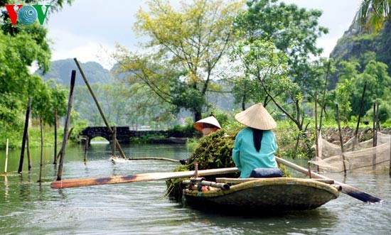 Tam Coc Bich Dong: el paisaje emblemático de la provincia de Ninh Binh  - ảnh 7