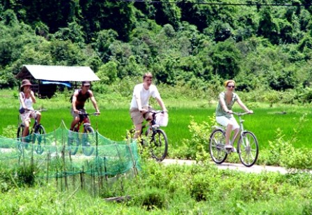 Isla de Cat Ba y el turismo comunitario - ảnh 2