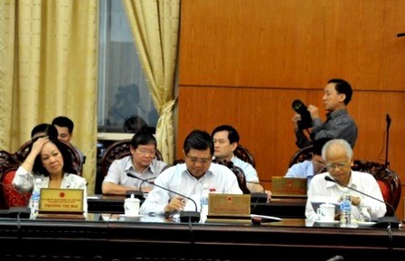 Comité Permanente del Parlamento vietnamita prepara su oncena reunión - ảnh 1