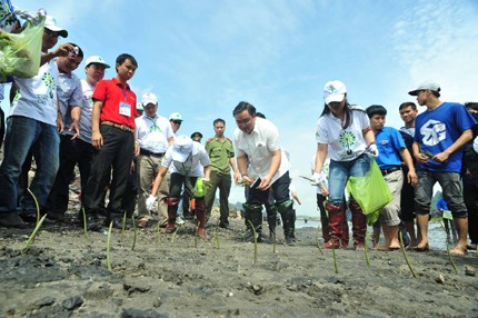 Orienta Gobierno vietnamita protección y desarrollo de los bosques - ảnh 1