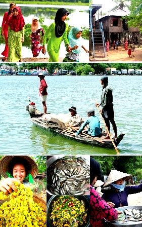 Delta del Mekong en época de crecidas - ảnh 2