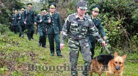 Actividades en saludo al Día tradicional de Guardafronteras vietnamitas - ảnh 1