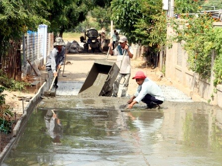 Alianza a tres bandas para fomentar las áreas campestres en Ninh Thuan - ảnh 1