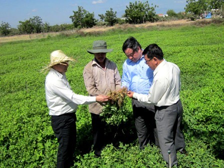 Elevar el rol de la comunidad de agricultores en bien de la construcción nacional  - ảnh 1