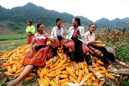 FAO: Sudeste de Asia protagoniza lucha contra el hambre - ảnh 1