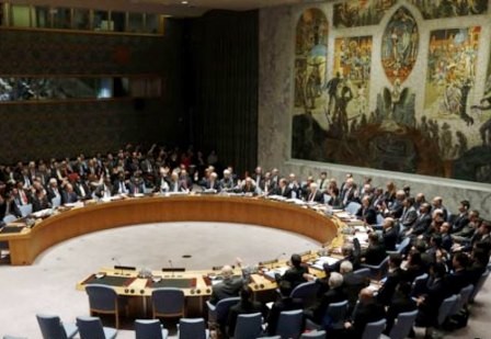 Consejo de Seguridad de la ONU elige nuevos miembros - ảnh 1