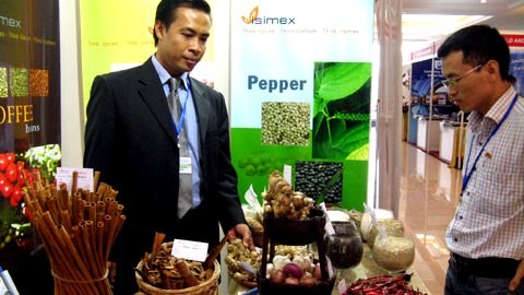 Promueven presencia de productos vietnamitas en Oriente Medio y África del Norte - ảnh 2