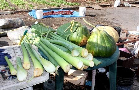 Cho Vuon, mercado de hortalizas vietnamitas en centro de Washington - ảnh 2