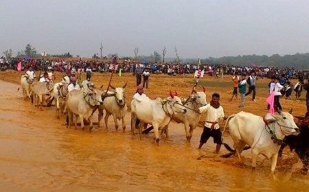 Resaltan valores culturales vietnamitas en Semana de unidad de las etnias  - ảnh 3