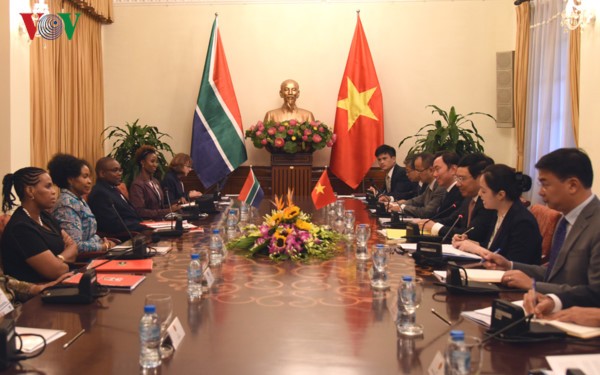 Vietnam, South Africa look to foster bilateral ties - ảnh 1