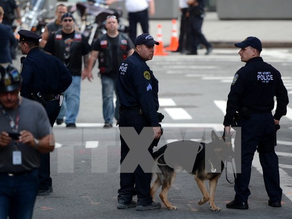 New York rail operator bolsters security after London bombing - ảnh 1