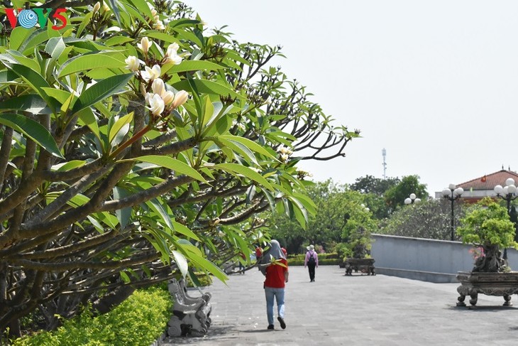 A tour of historical sites in Truong Son - ảnh 10