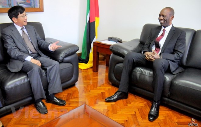 Mozambique welcomes Vietnamese investment - ảnh 1