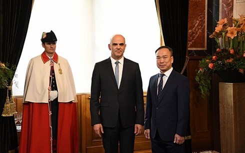 Vietnam, Switzerland ties growing  - ảnh 1