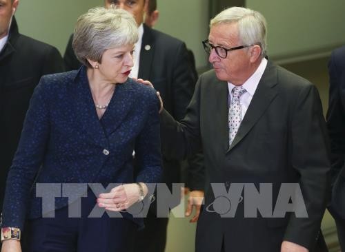 EU will not renegotiate Brexit deal - ảnh 1