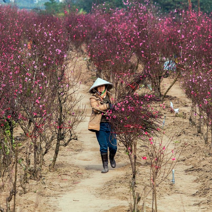 Hanoi through the eyes of an English photographer - ảnh 4