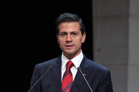 Enrique Pena Nieto: l'APEC est une bonne occasion pour intensifier la coopération Vietnam-Mexique - ảnh 1