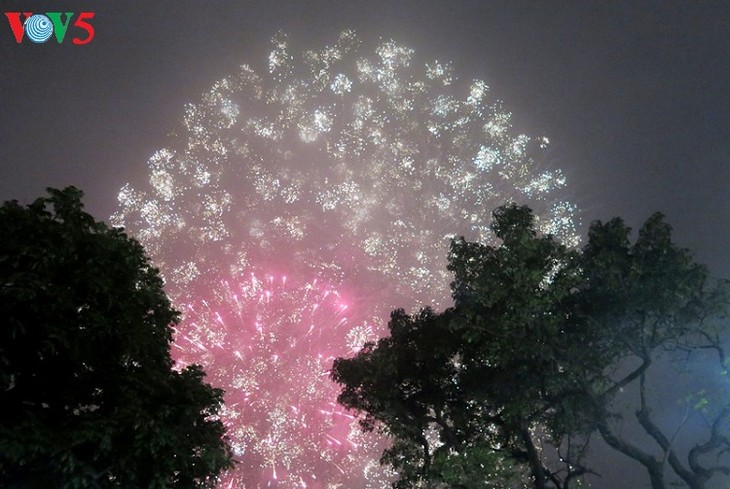 Le Nouvel an lunaire fêté dans l’ensemble du pays - ảnh 2