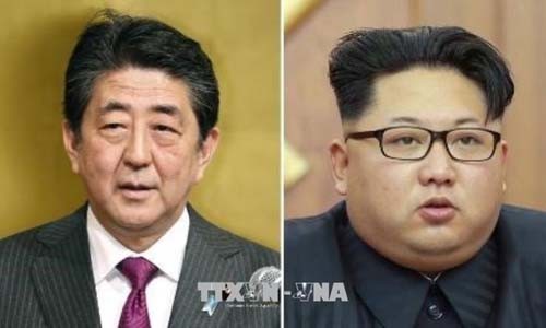 Le Japon envisage un sommet avec Kim Jong-un - ảnh 1