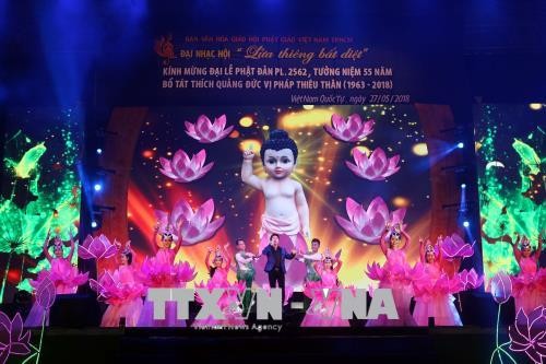 Activités en l’honneur du Vesak à Hô Chi Minh-ville  - ảnh 1