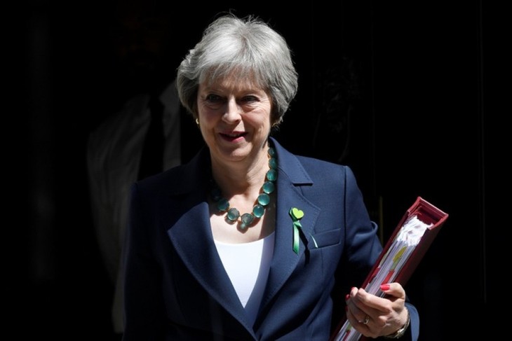 Theresa May promet des milliards en plus en santé grâce au Brexit - ảnh 1