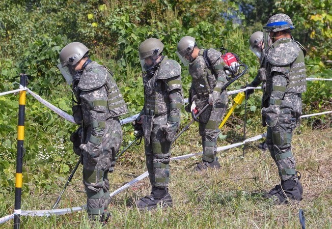 Pyongyang a retiré 636 mines à Panmunjom - ảnh 1