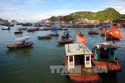 Une stratégie pour le développement durable de l’économie maritime - ảnh 1