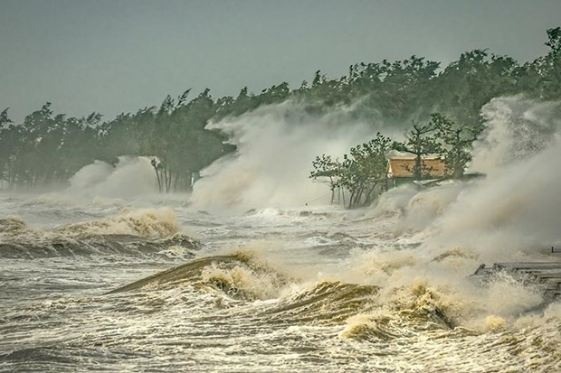 Le Vietnam obtient le premier prix d’un concours de photos sur le climat en Chine - ảnh 1