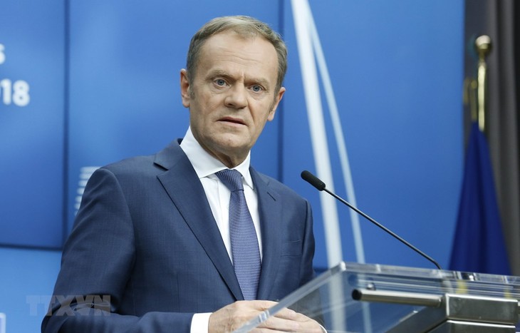 Donald Tusk dénonce les forces extérieures «anti-européennes» - ảnh 1